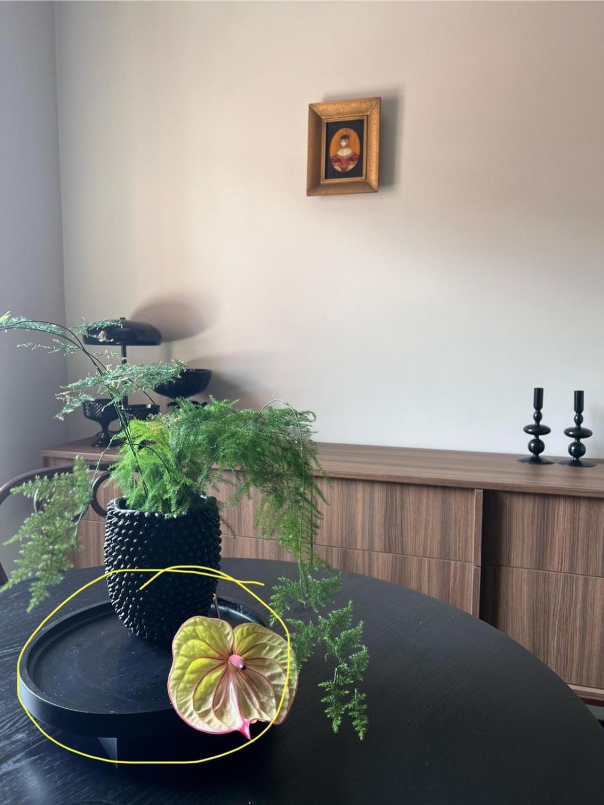 Entu Apartamenty Odrzanska - Wroclaw — Photos 3